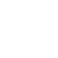 Interactive Activities 